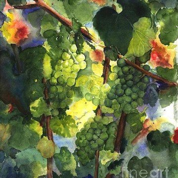 Vineyard Art