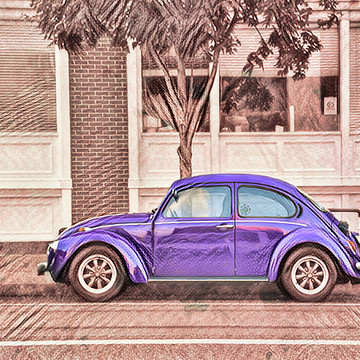 Vintage VW Series - Volkswagen Beetle Collection