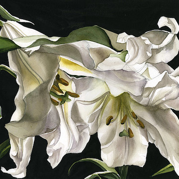 White Flower In Art