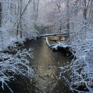 Winter Wonderland and Winter Landscapes
