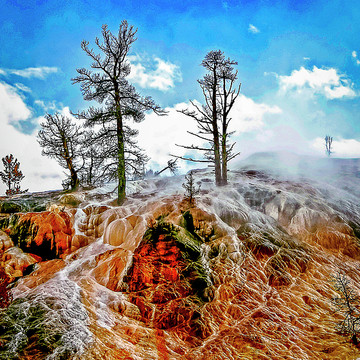 Yellowstone National Park Landscapes