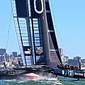 2013 November America's Cup Special Offer