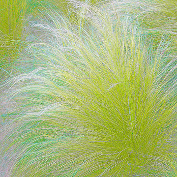 Abstract Nature Photography