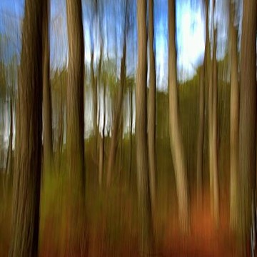 Abstract Photographs
