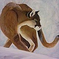 Animal paintings and drawings