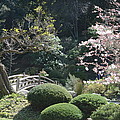 Asian Garden