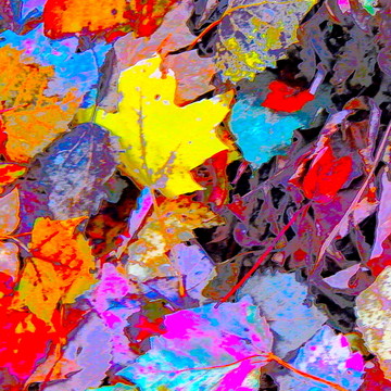 Autumn Color Blurs Collection