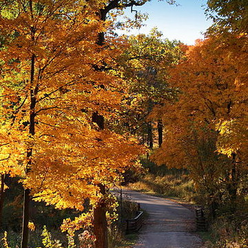 Autumn in the Midwest-Illinois