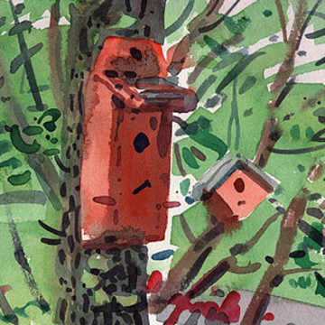 Backyards and Birdhouses