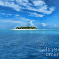 Beautiful Fiji