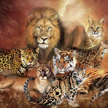 Big Cats - Spirit Of The Wild