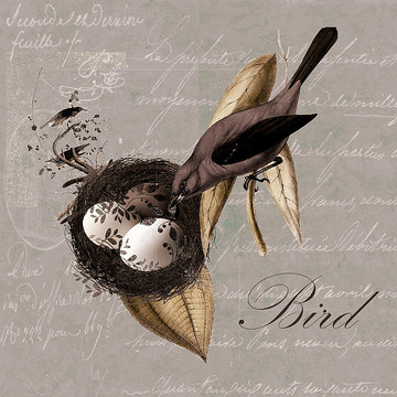 Bird Nest Art