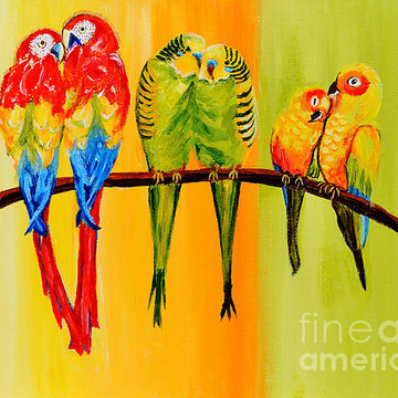 Bird Paintings