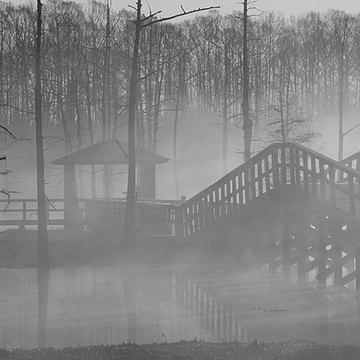 Black and White Collection