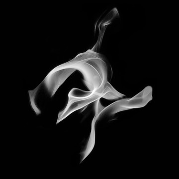 Black and White Flames