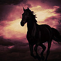 Black Horse Digital Art Series