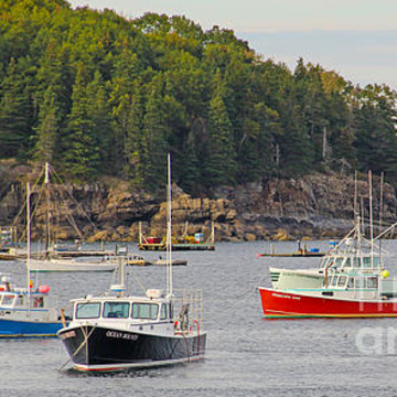 Boats and Harbors