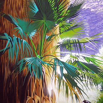 California Desert Palms