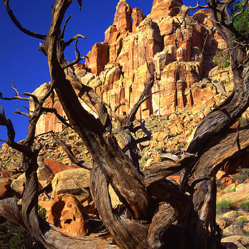 Capitol Reef NP - The Castle