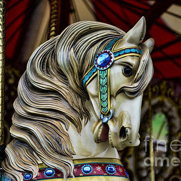 Carousel Horses And More