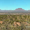 CASE Arizona Santa Fe New Mexico Southwest