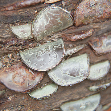 Coins in Logs
