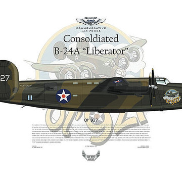 Commemorative Air Force Profiles