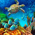 Coral Reefs and Marine Life