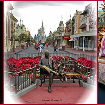 Disney World Composites and Panoramas