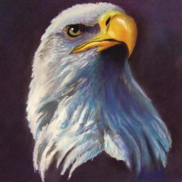 Eagles - Osprey and Hawks