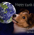 Earth Day Greeting Cards