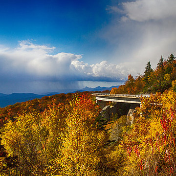 Fall and Foliage