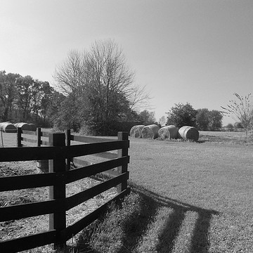 Farm and Country Photography
