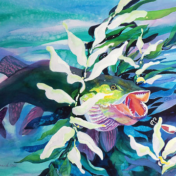 Fish and Sea Creatures Paintings