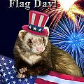 Flag Day Greeting Cards