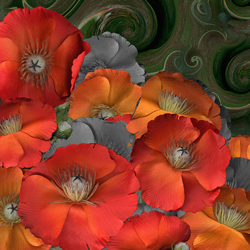 Floral Giclee Prints Collection