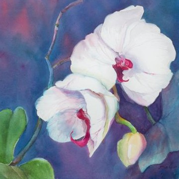 Floral & Wildflower Watercolors