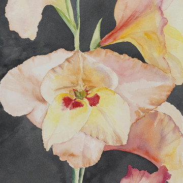Flowers in Watercolor