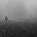 Foggy and Misty