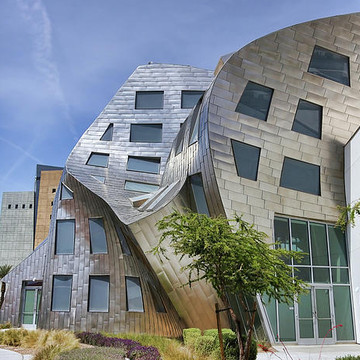 Frank Gehry Brain Clinic