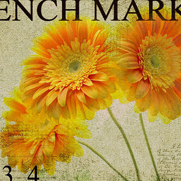 French Market Series