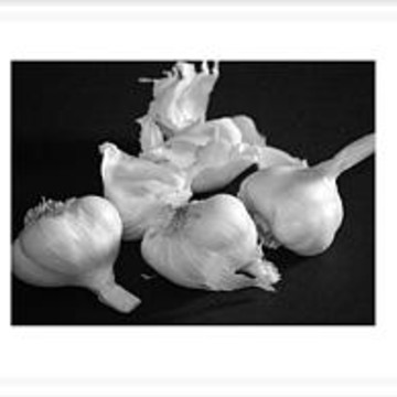 GARLIC Onions Peppers