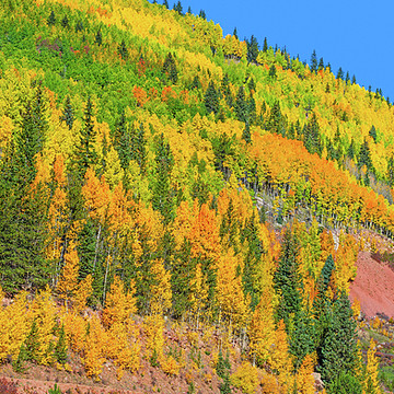 Glory Of Autumn - Colorado