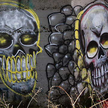 Graffiti Wall Art and Signs