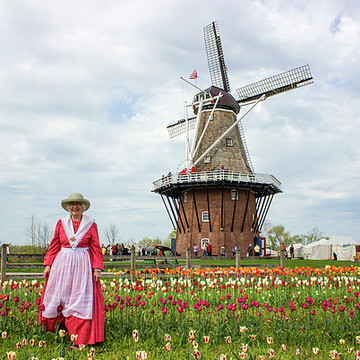 Holland Tulip Festival