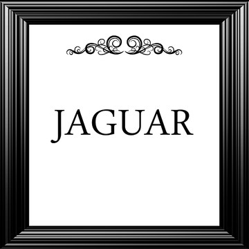 Jaguar Car Collection