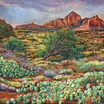 Johnathan Harris Desert Paintings