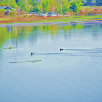 Lake Photography