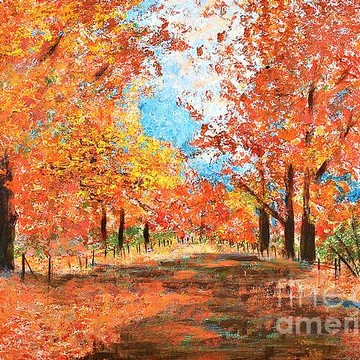 Landscapes Collection