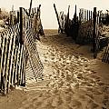 Long Beach Island NJ Sand Dunes 1977